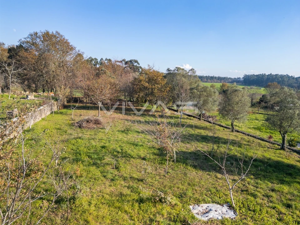 Terreno para Venda em Friastelas Foto 17