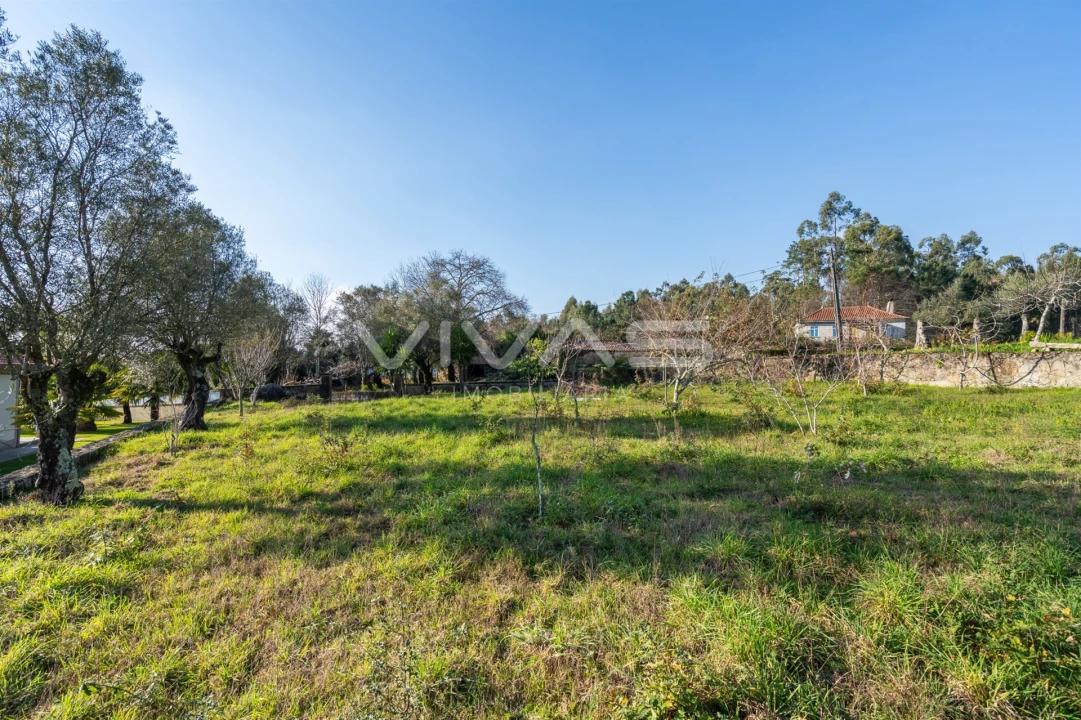Terreno para Venda em Friastelas Foto 22