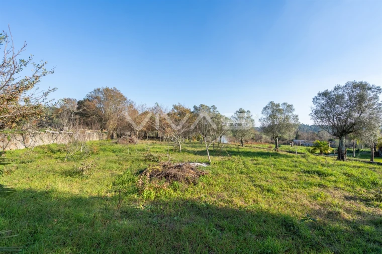 Terreno para Venda em Friastelas Foto 18