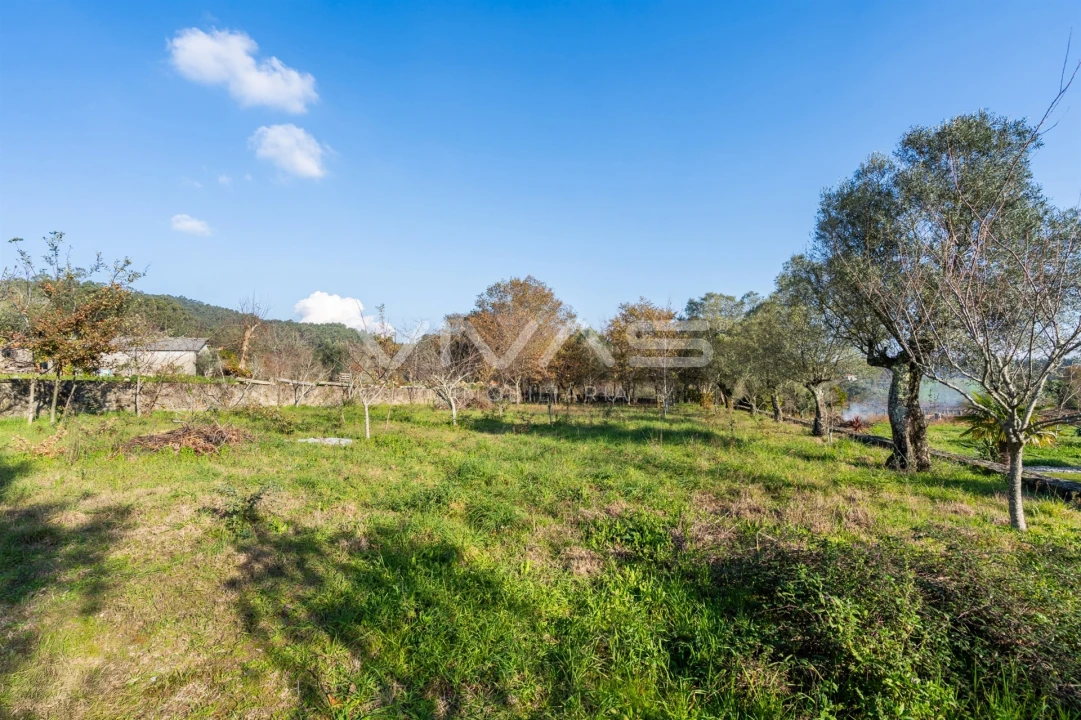 Terreno para Venda em Friastelas Foto 19
