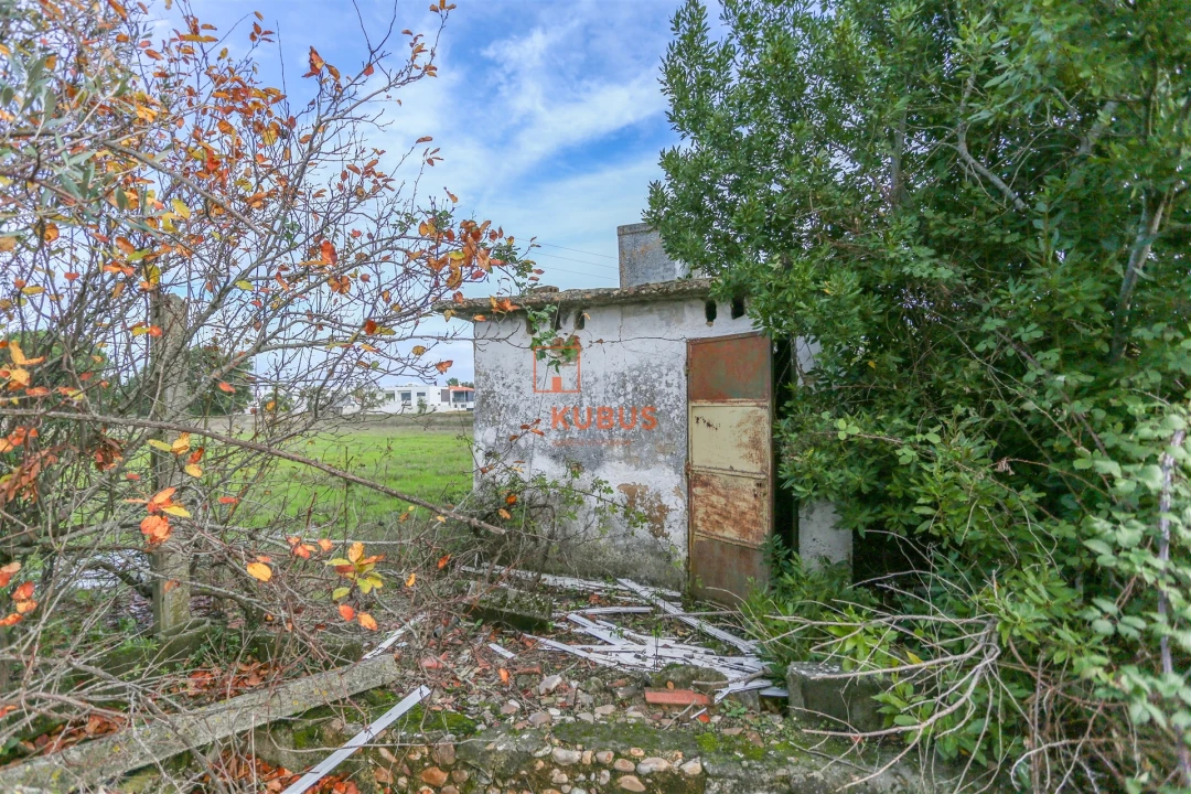 Moradia T2 para Venda em Nossa Sra de Fatima Foto 16