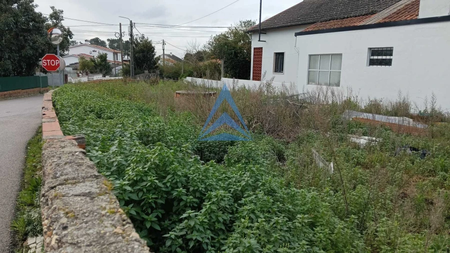 Moradia T3 para Venda em Marrazes e Barosa Foto 4