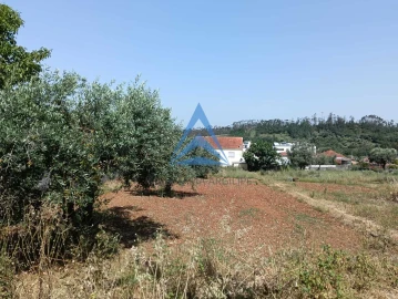 Terreno para Venda em Pombal