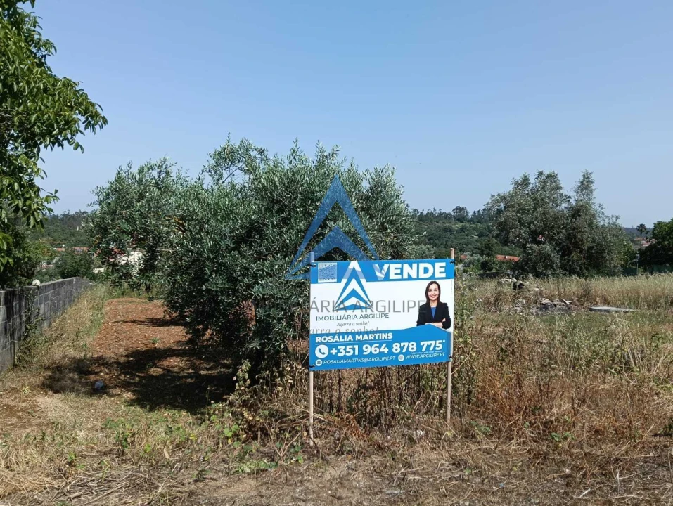 Terreno para Venda em Pombal Foto 14