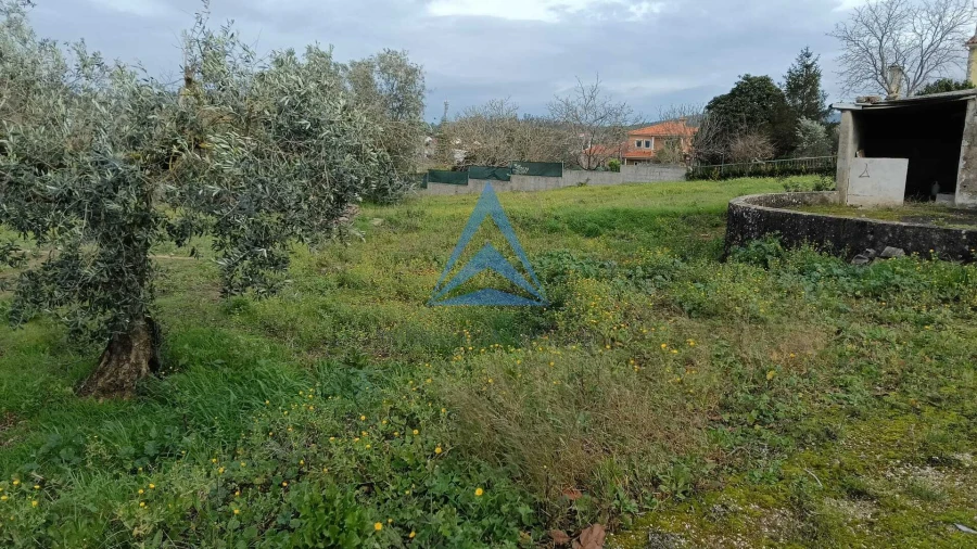 Terreno para Venda em Pombal Foto 4