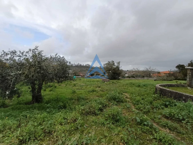 Terreno para Venda em Pombal Foto 3