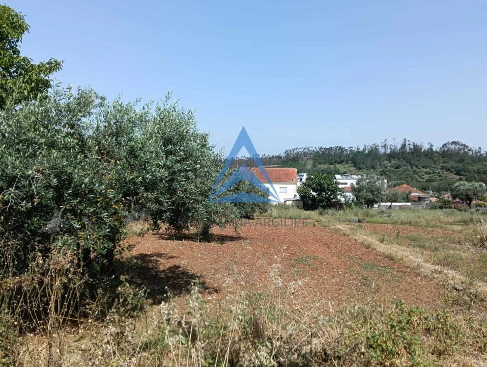 Terreno para Venda em Pombal Foto 4