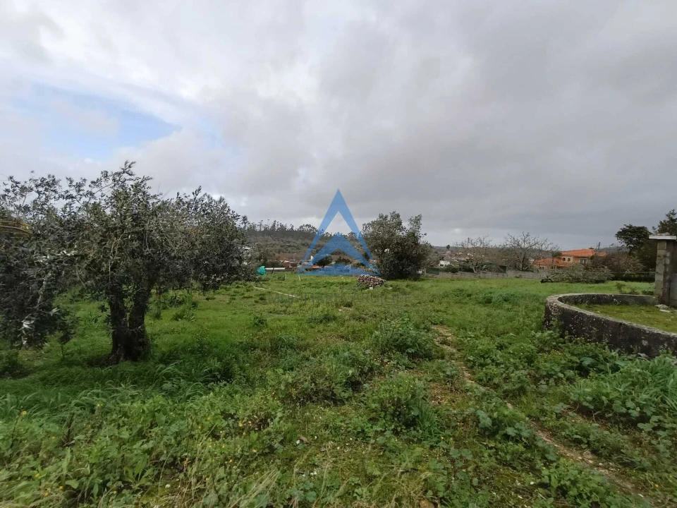 Terreno para Venda em Pombal Foto 3