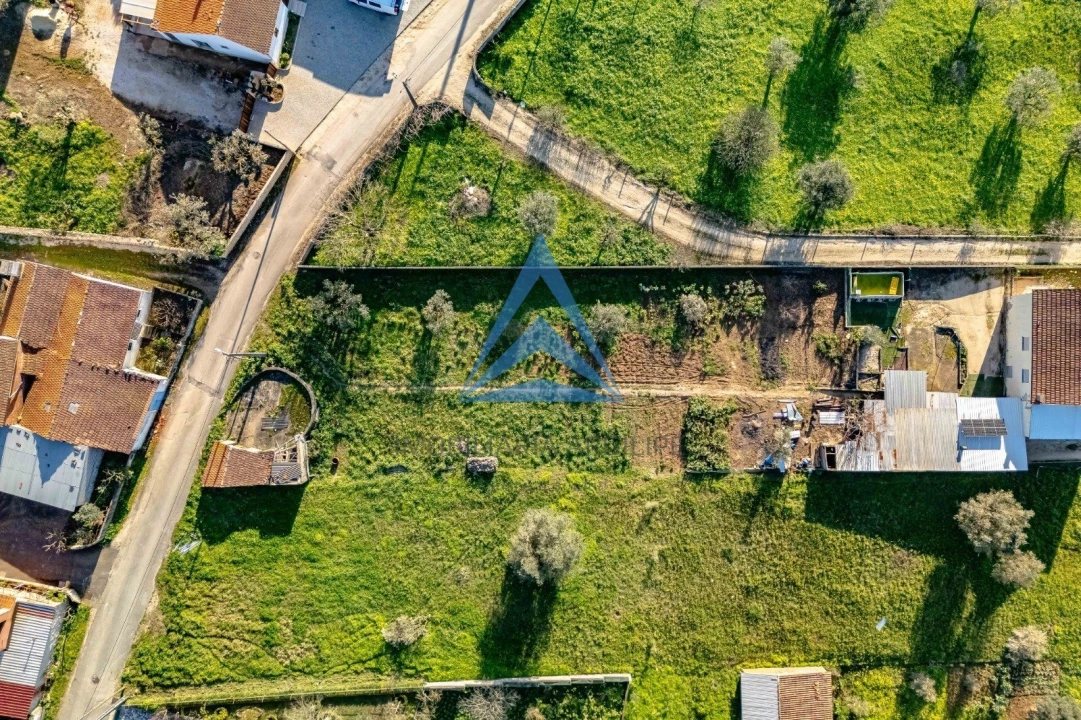 Terreno para Venda em Pombal Foto 19