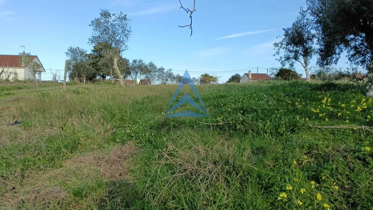 Quinta T1 para Venda em Almagreira Foto 19