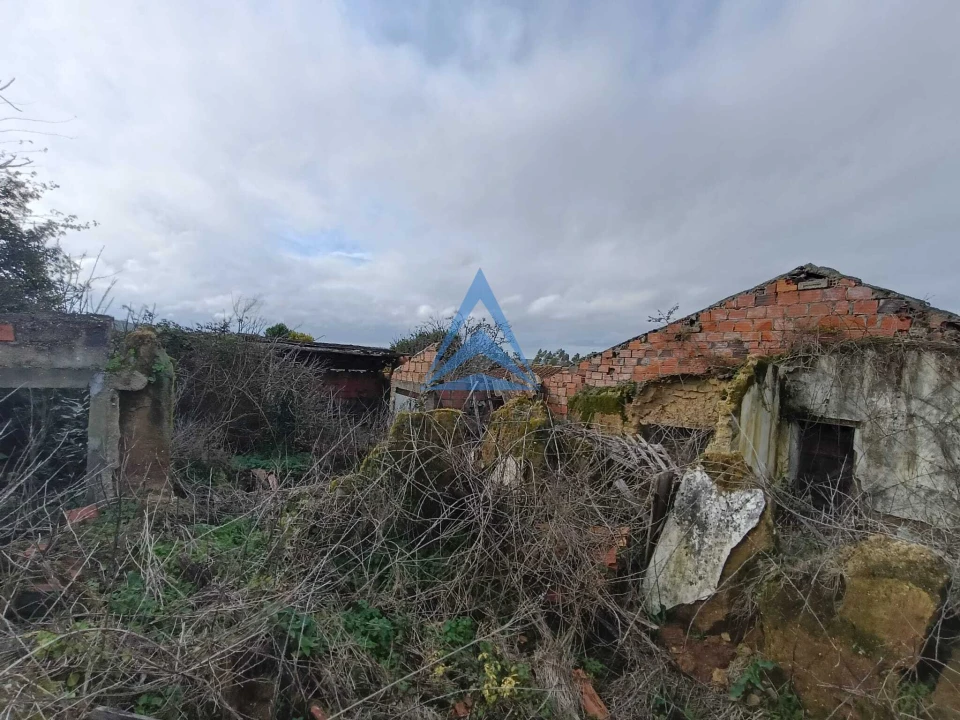 Quinta T1 para Venda em Almagreira Foto 9