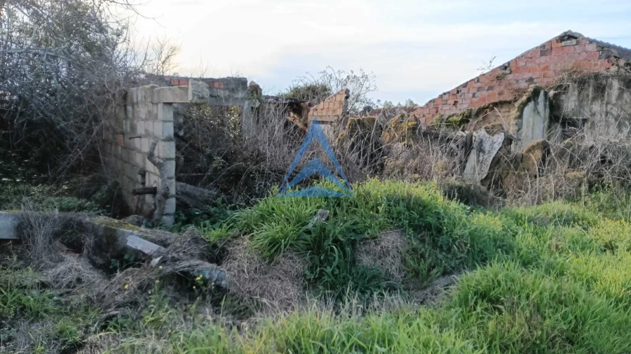 Quinta T1 para Venda em Almagreira Foto 17