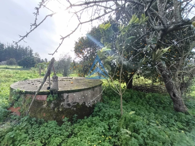 Quinta T1 para Venda em Almagreira Foto 5