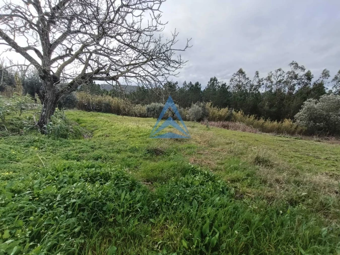 Quinta T1 para Venda em Almagreira Foto 18