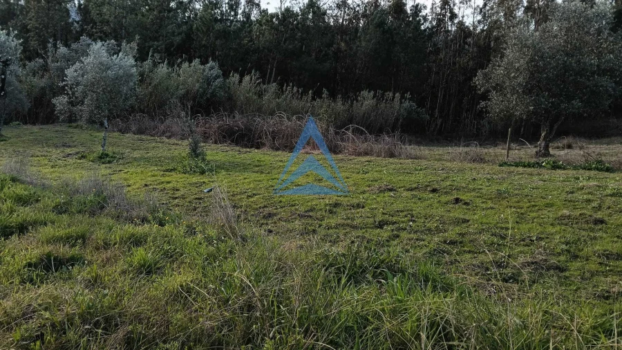 Quinta T1 para Venda em Almagreira Foto 20