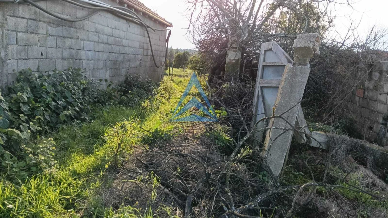 Quinta T1 para Venda em Almagreira Foto 13