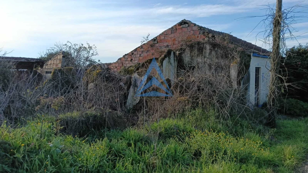 Quinta T1 para Venda em Almagreira Foto 10