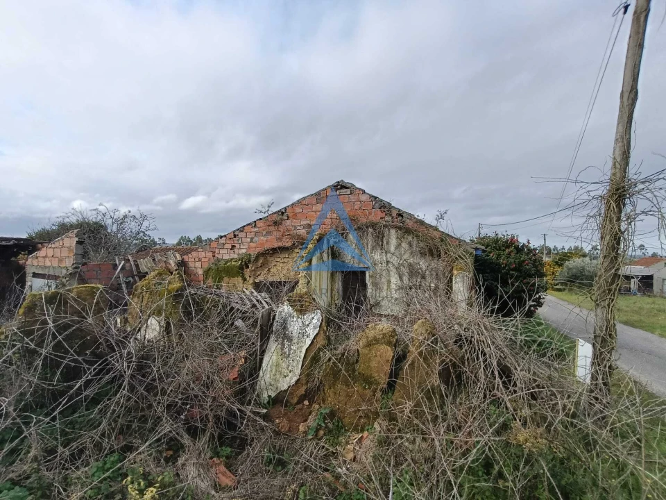 Quinta T1 para Venda em Almagreira Foto 12