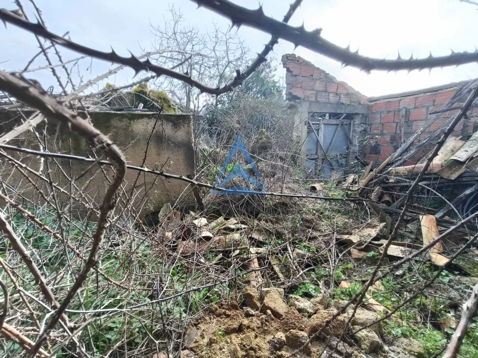 Quinta T1 para Venda em Almagreira Foto 11