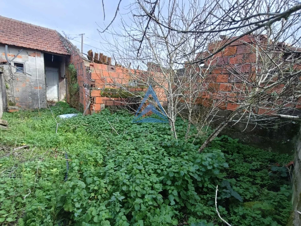 Quinta T1 para Venda em Almagreira Foto 7