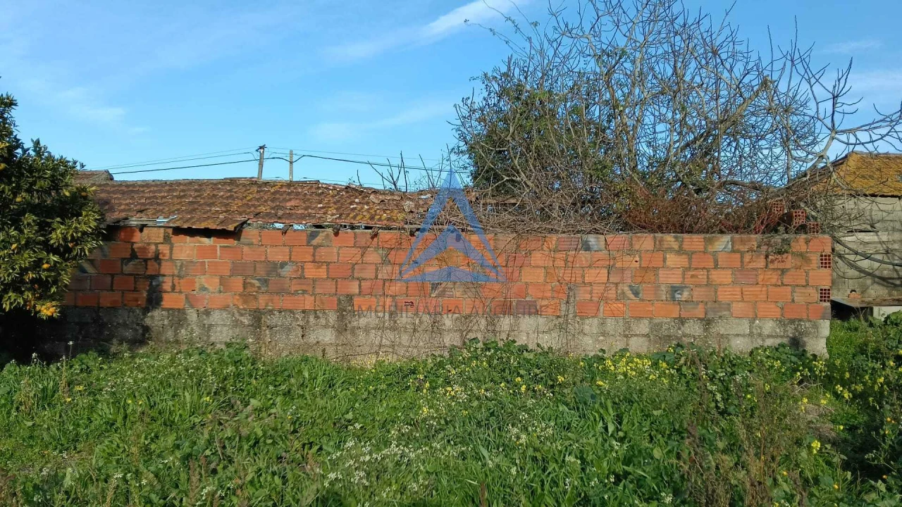 Quinta T1 para Venda em Almagreira Foto 16