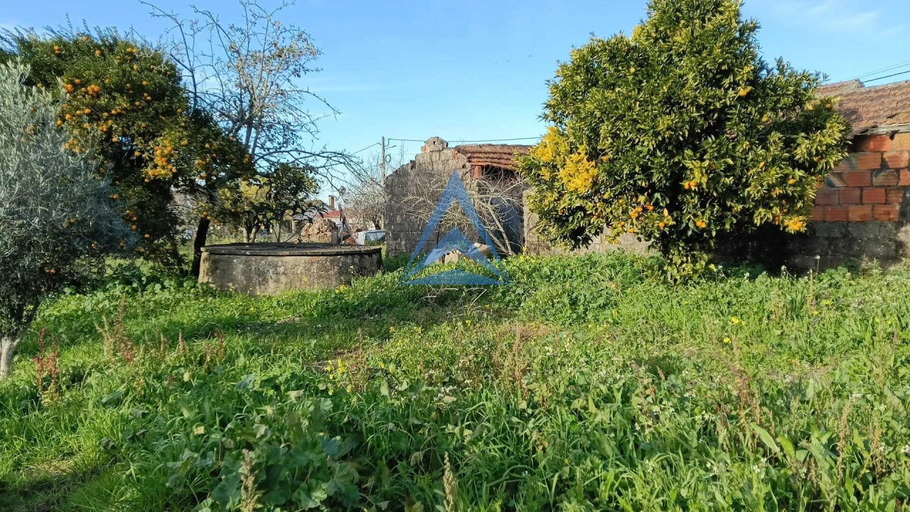 Quinta T1 para Venda em Almagreira Foto 6