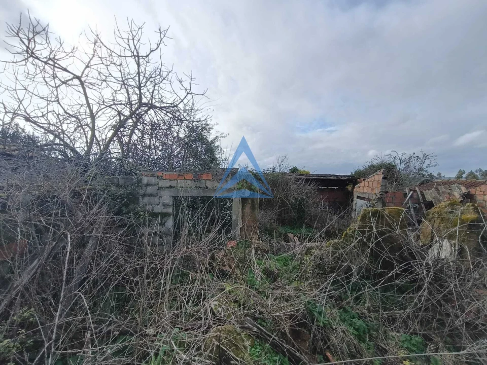 Quinta T1 para Venda em Almagreira Foto 14