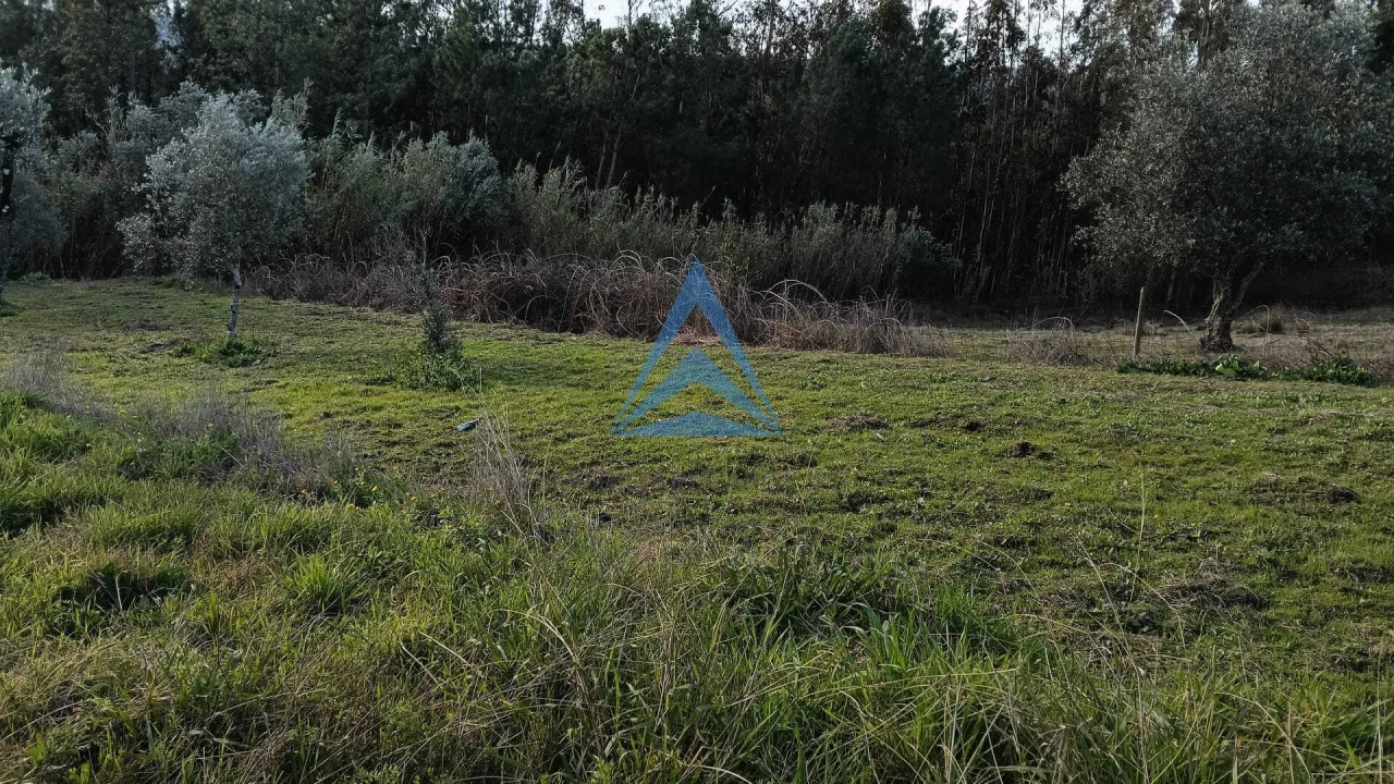 Quinta T1 para Venda em Almagreira Foto 20