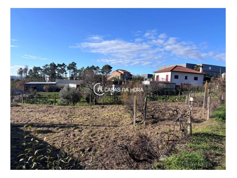 Terreno para Venda em Mundão Foto 3