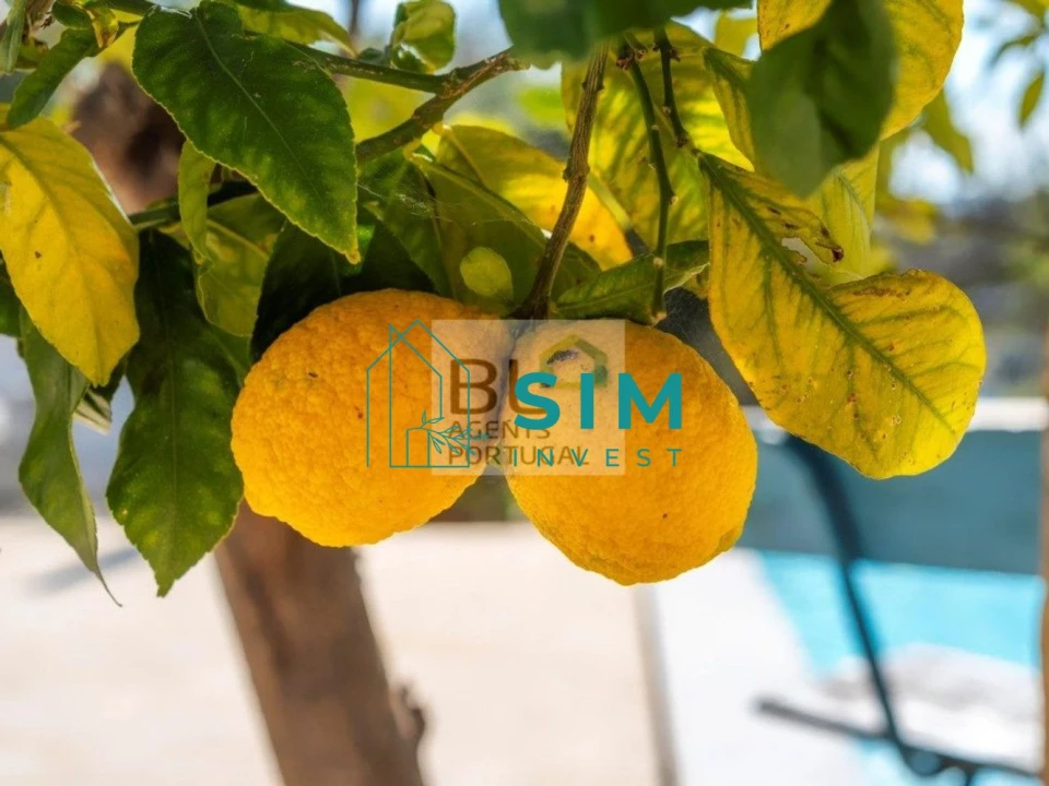 Moradia T3 para Venda em Quelfes Foto 36