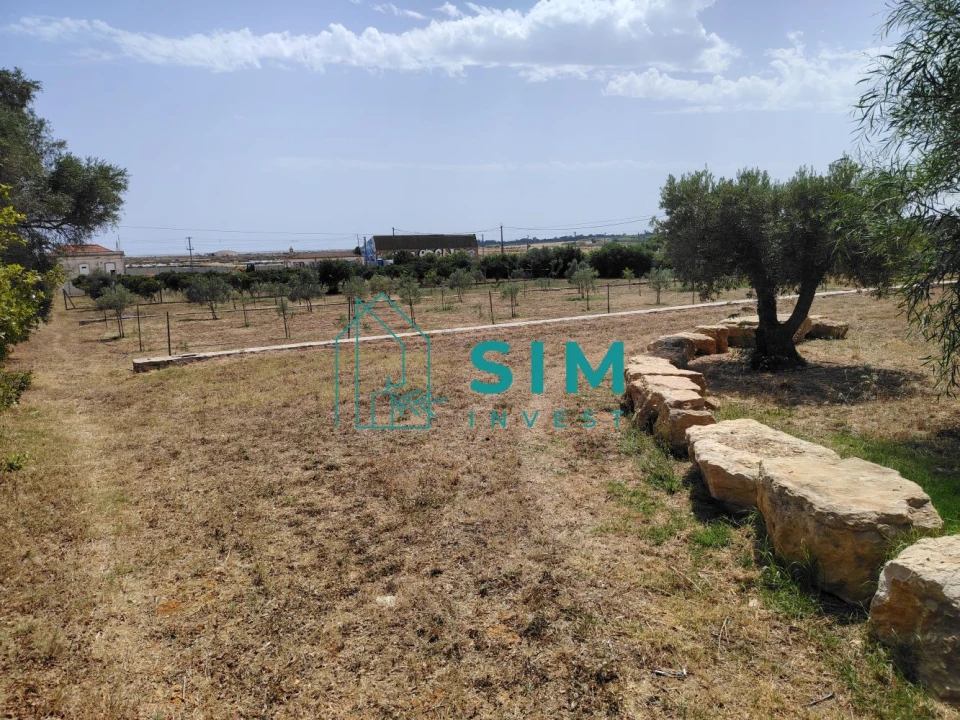 Moradia T4 para Venda em Quelfes Foto 49