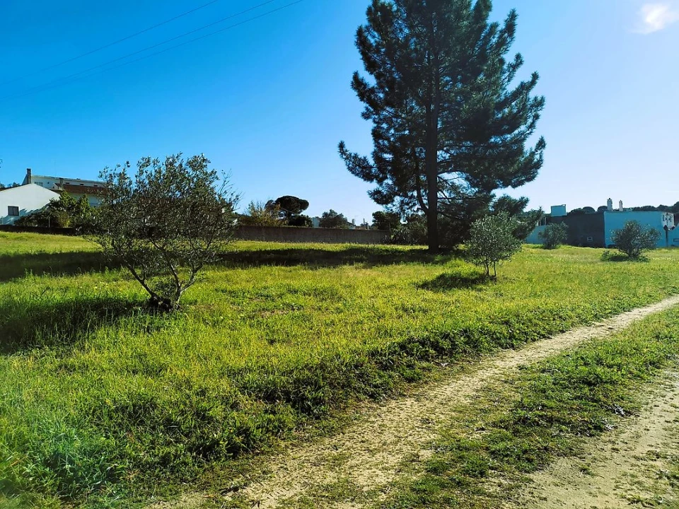 Terreno para Venda em Carregueira Foto 8