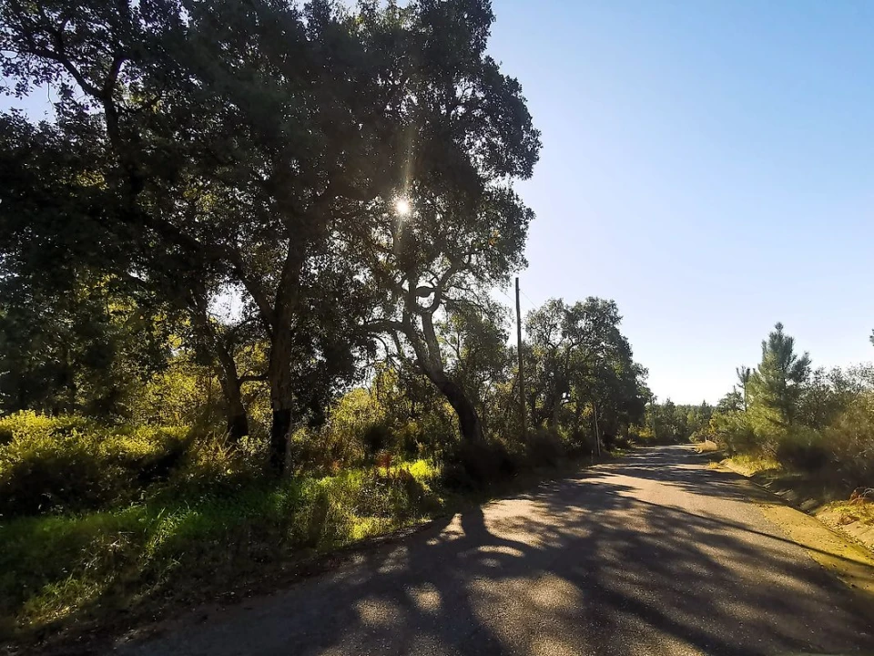 Terreno para Venda em Carregueira Foto 18