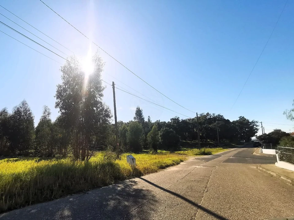 Terreno para Venda em Carregueira Foto 21