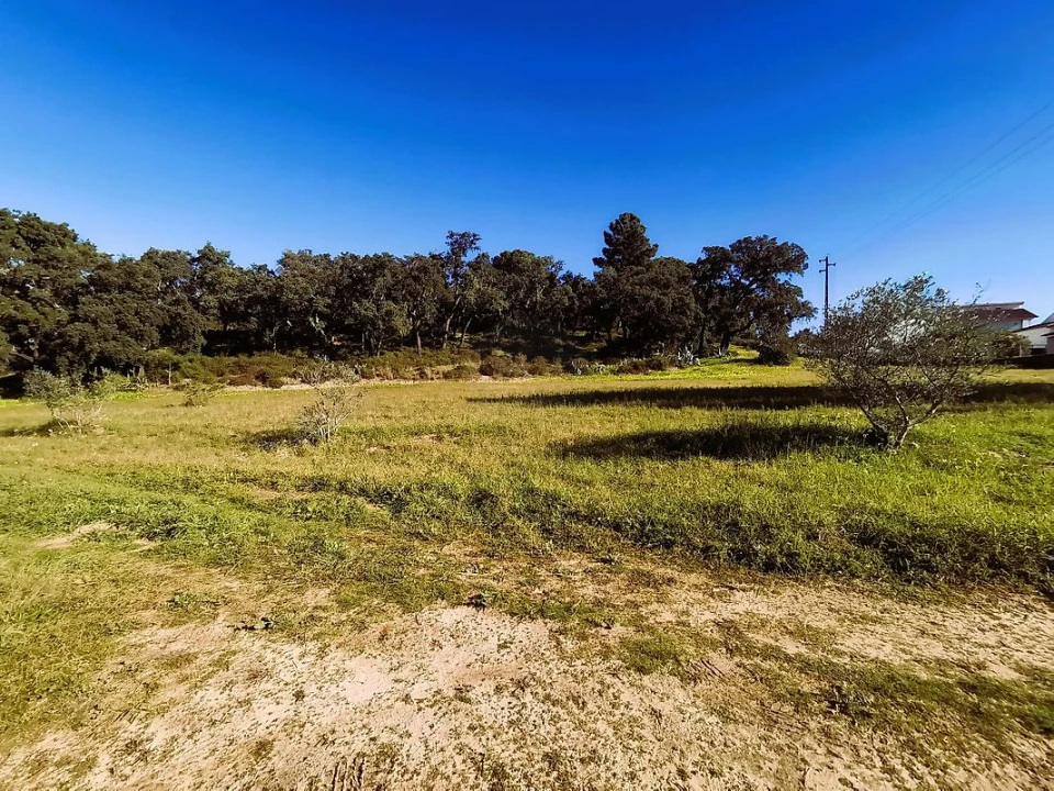 Terreno para Venda em Carregueira Foto 3