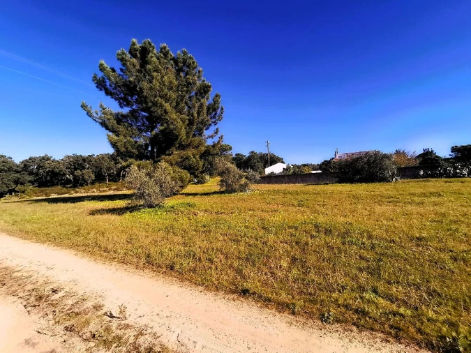Terreno para Venda em Carregueira Foto 1