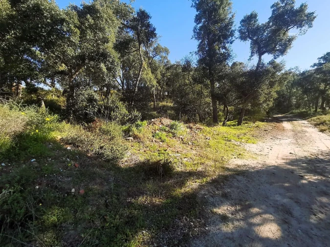 Terreno para Venda em Carregueira Foto 15