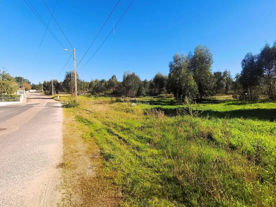 Terreno para Venda em Carregueira Foto 9