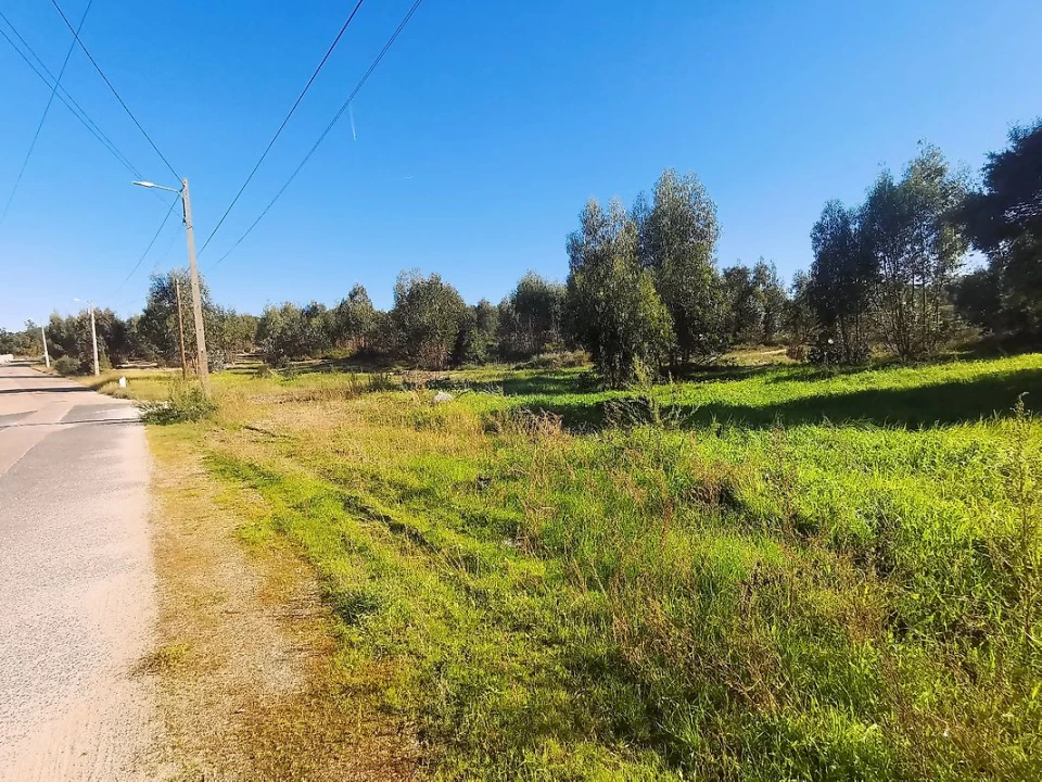Terreno para Venda em Carregueira Foto 11