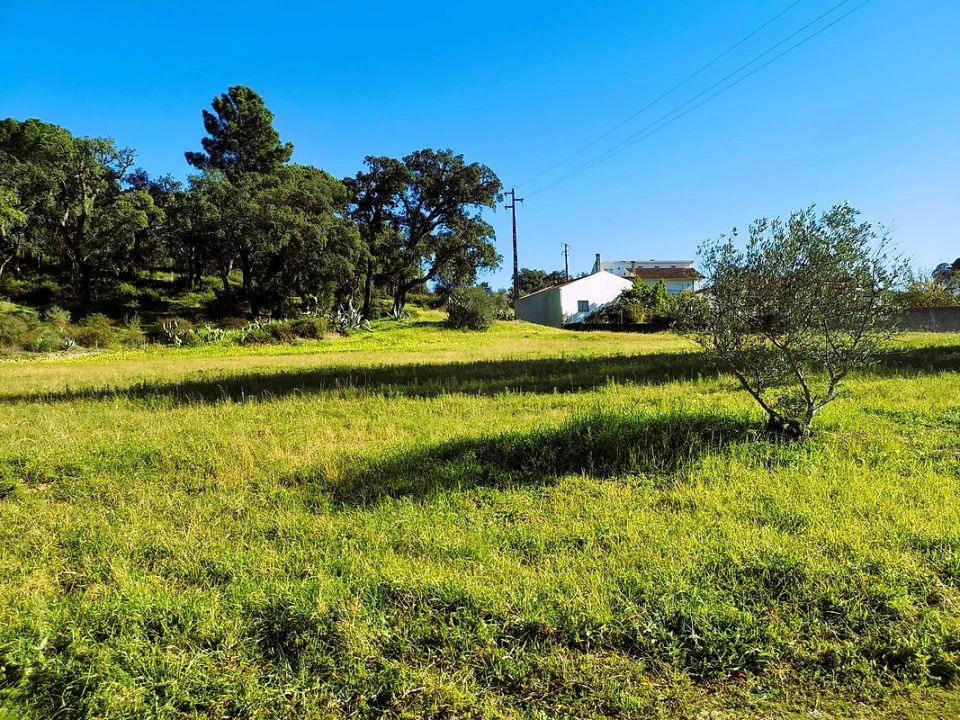 Terreno para Venda em Carregueira Foto 7