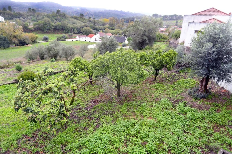 Moradia T3 para Venda em Abiul Foto 5