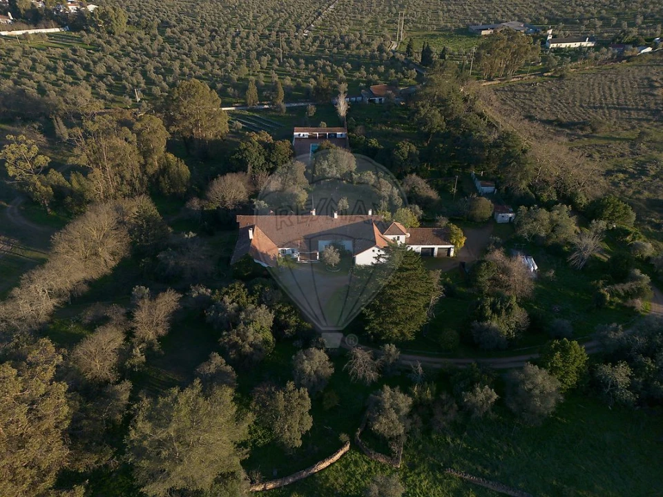 Quinta T8 para Venda em Estremoz (Santa Maria e Santo André) Foto 19