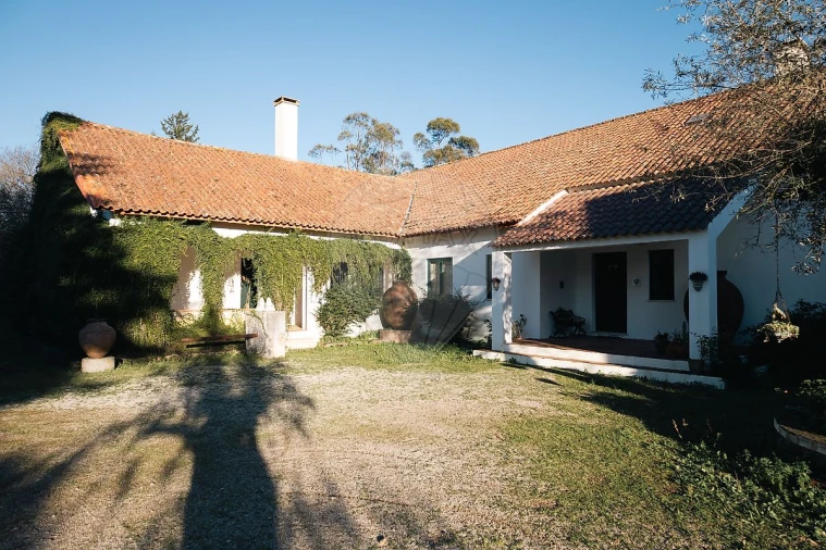 Quinta T8 para Venda em Estremoz (Santa Maria e Santo André) Foto 16