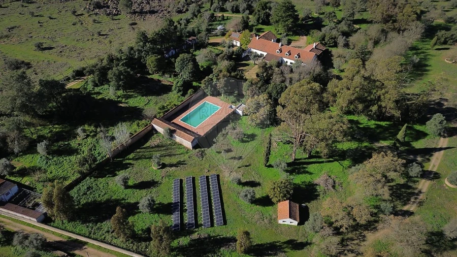 Quinta T8 para Venda em Estremoz (Santa Maria e Santo André) Foto 2