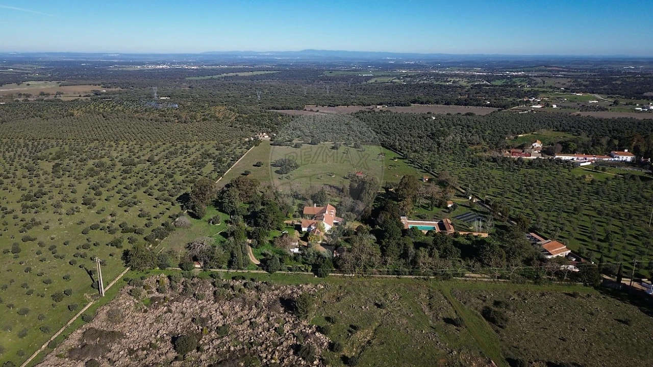 Quinta T8 para Venda em Estremoz (Santa Maria e Santo André) Foto 20