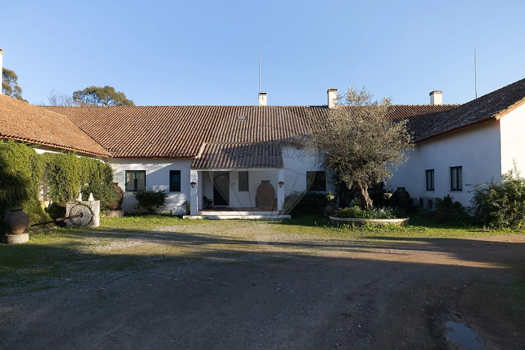 Quinta T8 para Venda em Estremoz (Santa Maria e Santo André) Foto 5