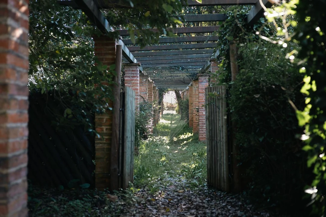 Quinta T8 para Venda em Estremoz (Santa Maria e Santo André) Foto 18