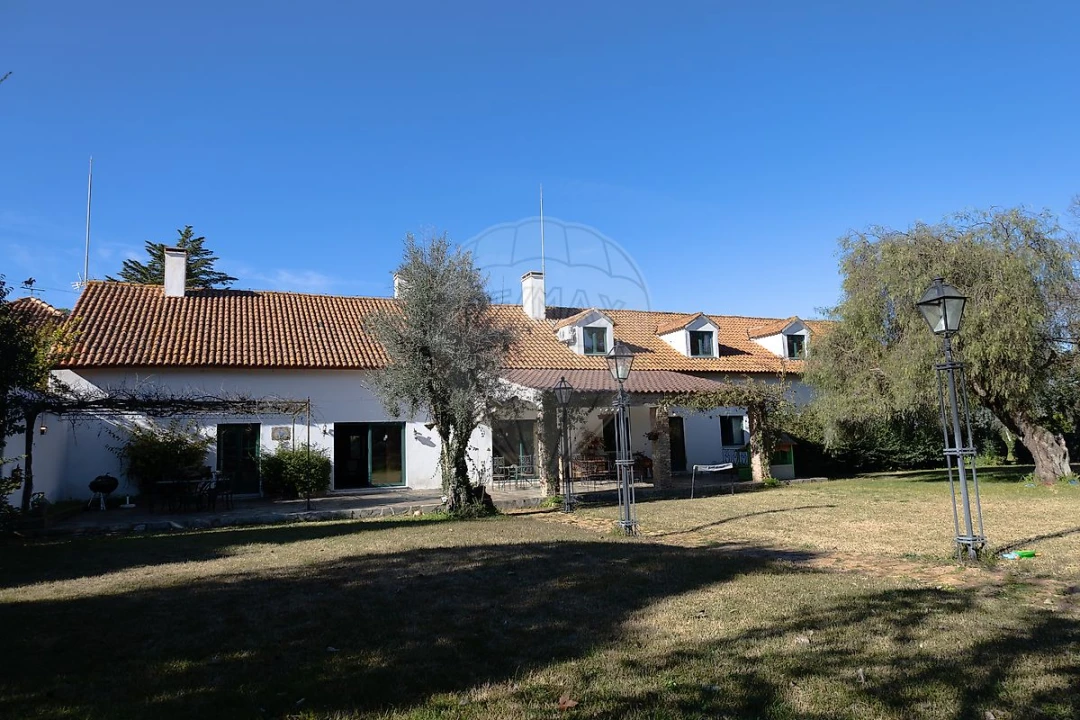 Quinta T8 para Venda em Estremoz (Santa Maria e Santo André) Foto 4