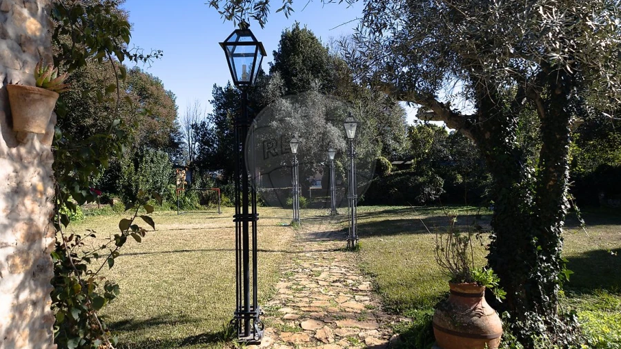 Quinta T8 para Venda em Estremoz (Santa Maria e Santo André)