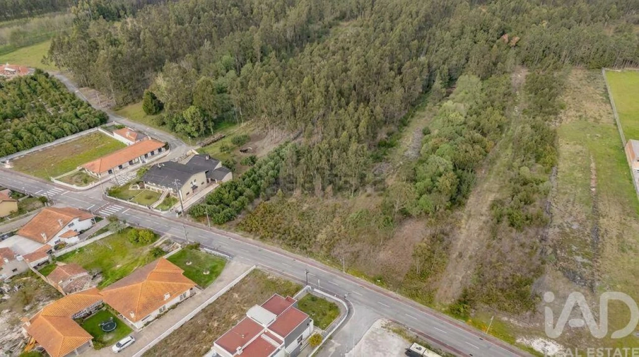 Terreno para Venda em Fonte de Angeão e Covão do Lobo Foto 2